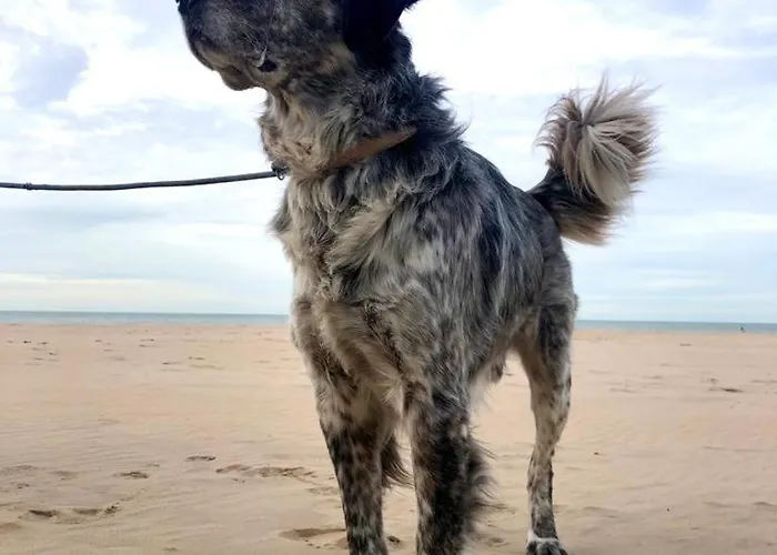 Apartmán Seaview Loft Ostende